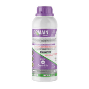 Domain 25% EC