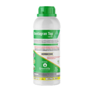 Bentagran Top