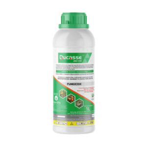 Ducasse 250 EW