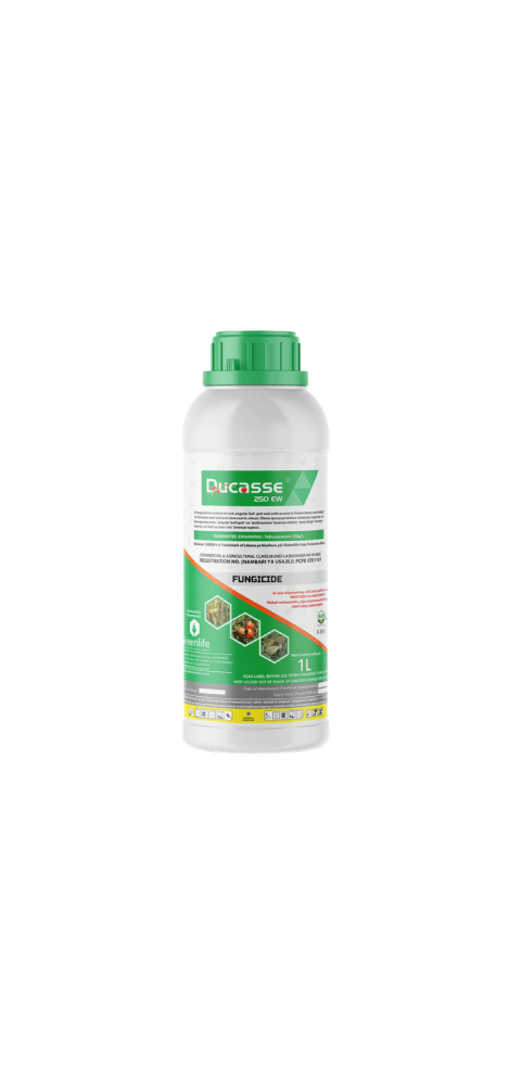 Ducasse 250 EW