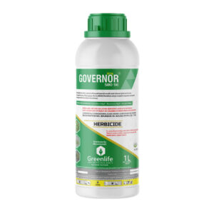 Governor 580 SE