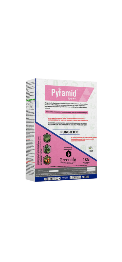 Pyramid 700 WP