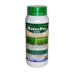Maize-Pro
