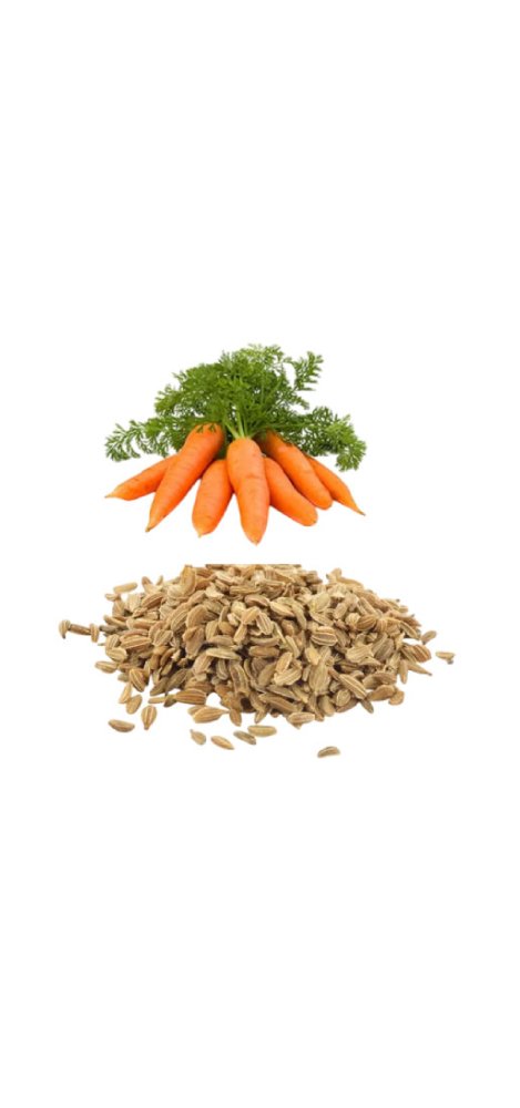 Carrots