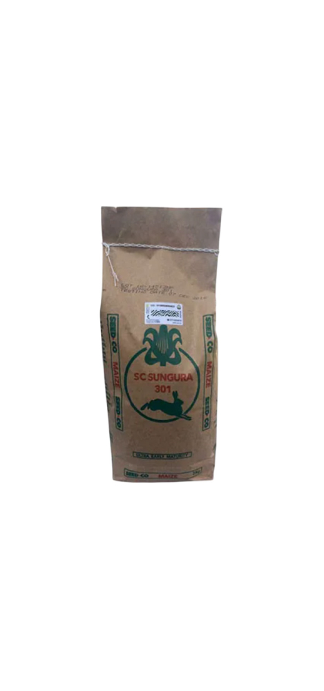Maize Sungura
