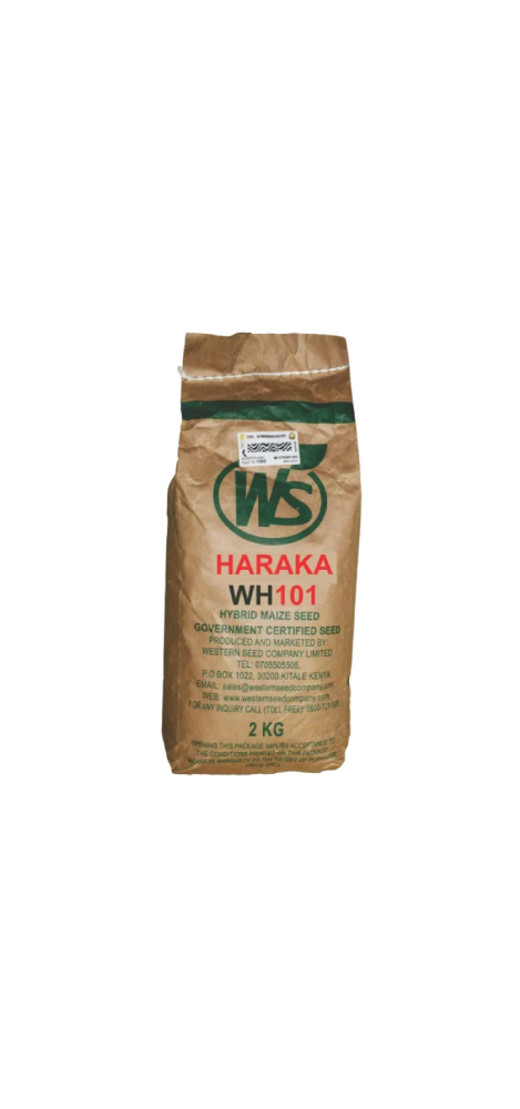 Maize Haraka