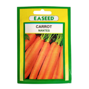 Carrot Nantes