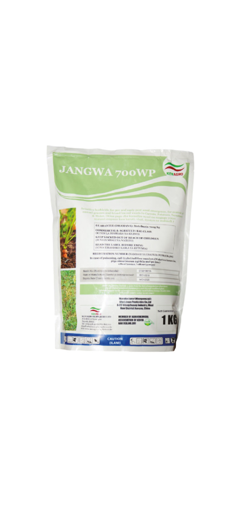 Jangwa 01