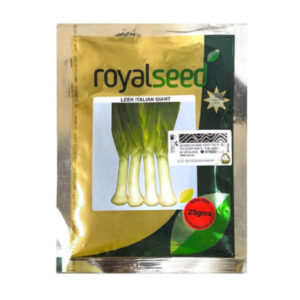 Leek Onion 1