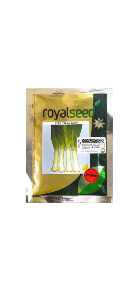 Leek Onion 1