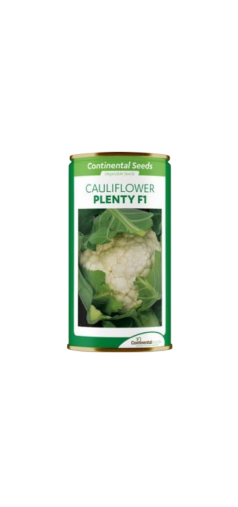 CauliFlower