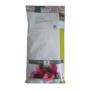 Malbec F1 100 Seeds