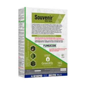 Souvenir--800-WDG