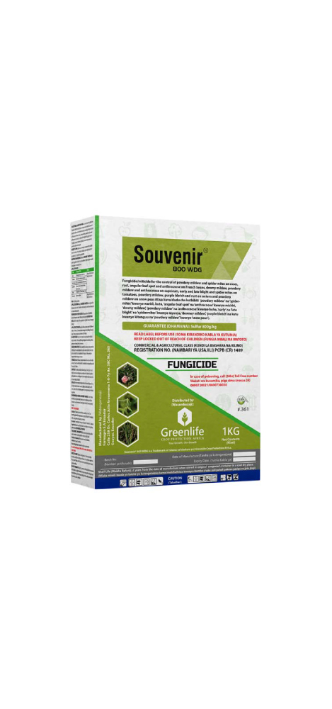 Souvenir--800-WDG