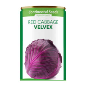 Red Cabbage