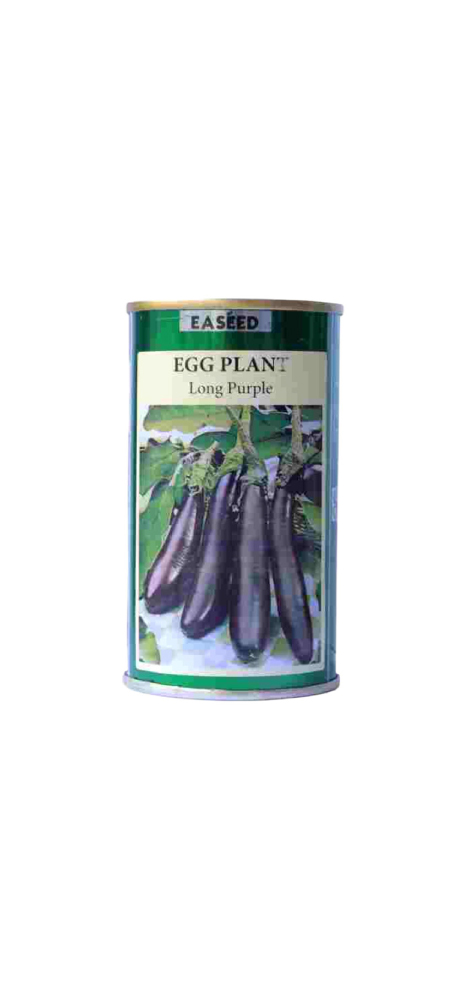 Long Purple Eggplant