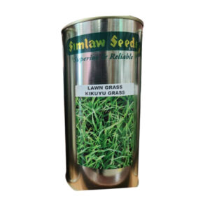 49.-Lawn-Grass-Kikuyu-Grass