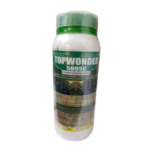 Topwonder 500 SC
