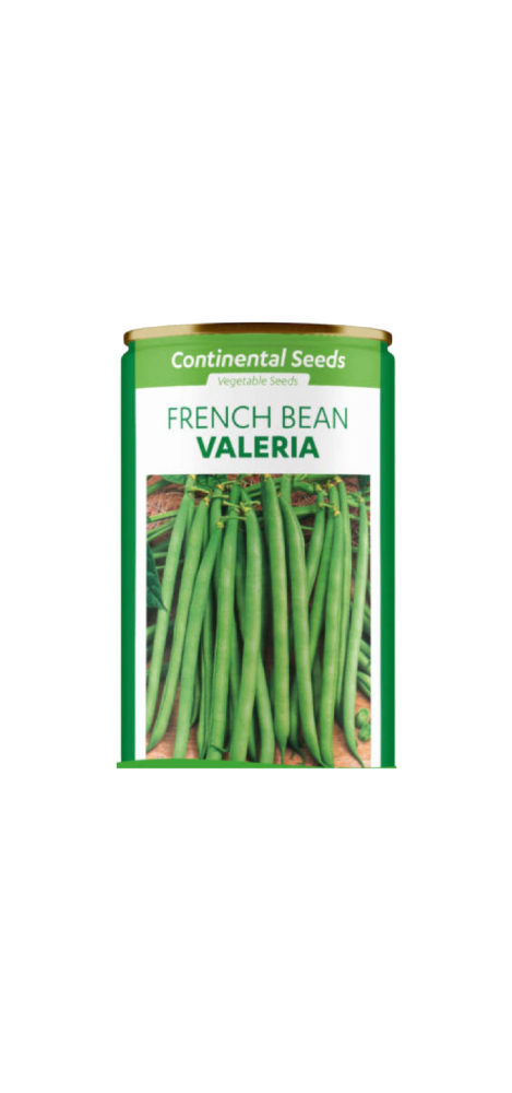 French Beans