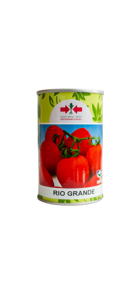 Rio Grande