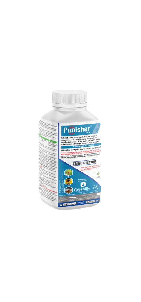 Punisher