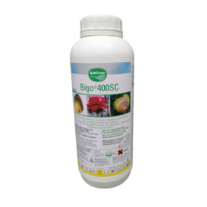 Bigo 400 SC