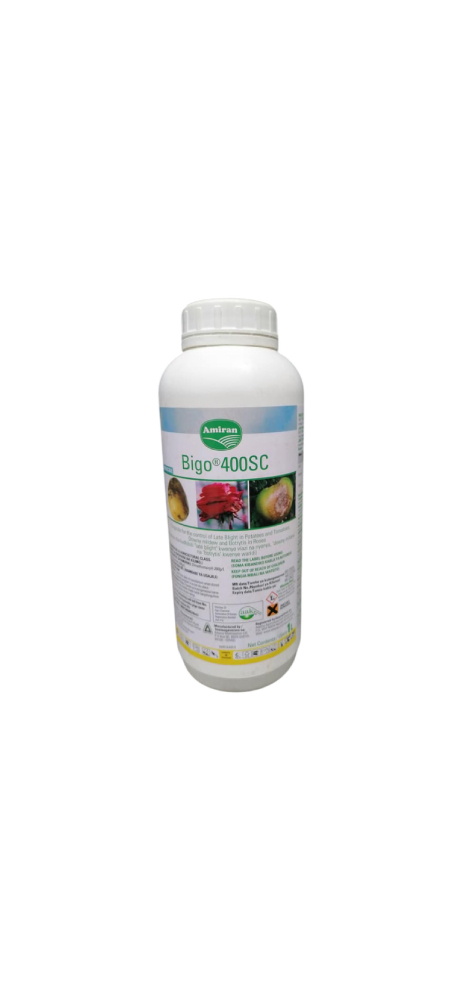 Bigo 400 SC