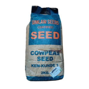 Cowpeas Seeds