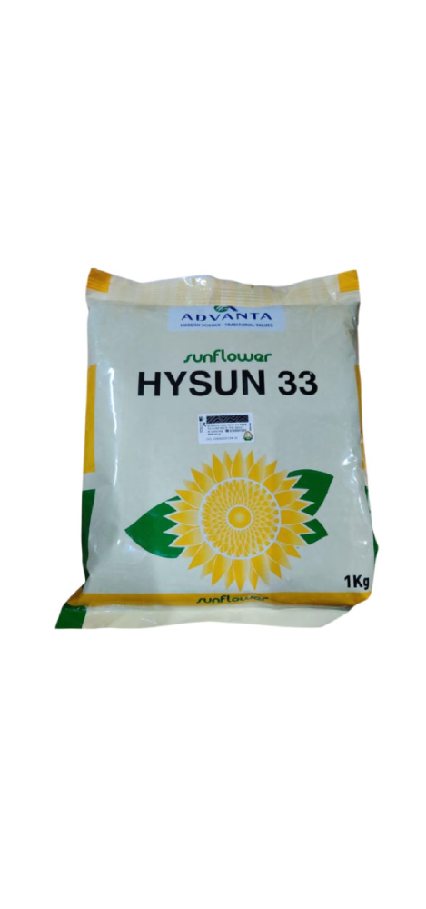 Sunflower Hysun 33
