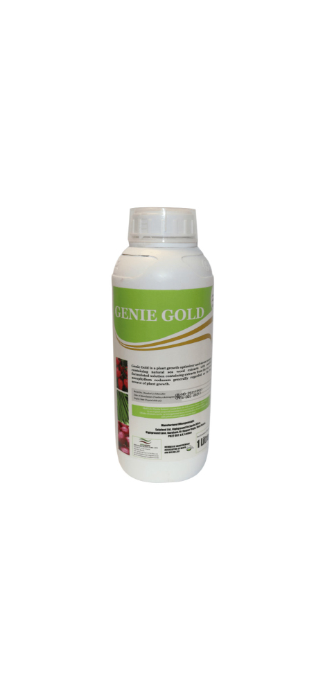 Genie Gold