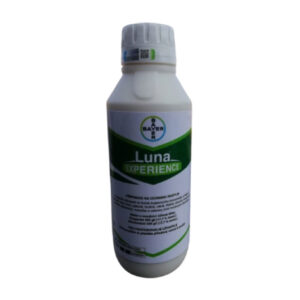 Luna Experience