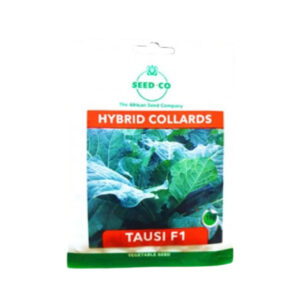 Tausi F1 Collard