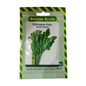 Ehiopian Kale Noia Green