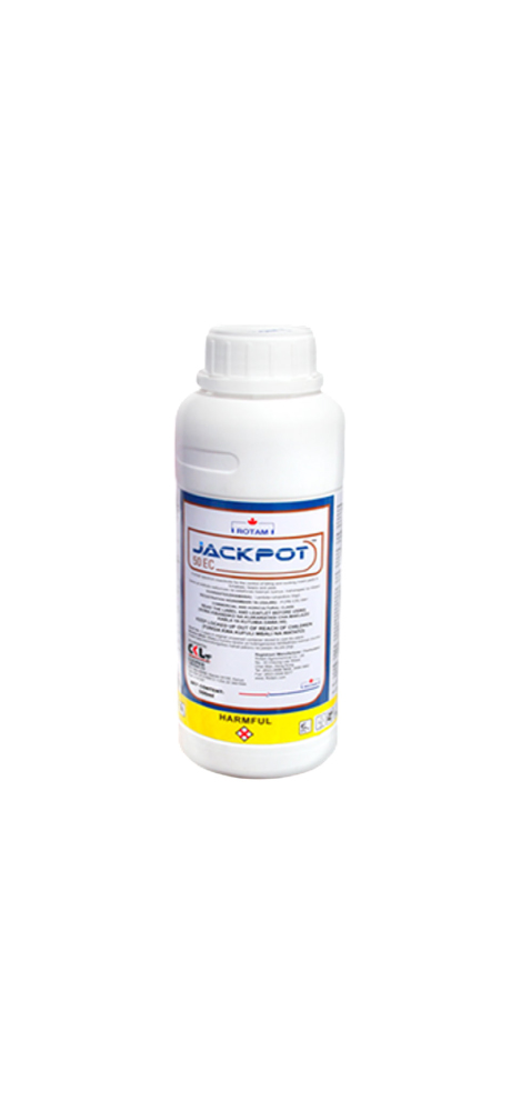 Jackpot 50 EC