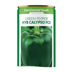 Calypso F1(Hoho)