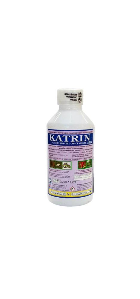 Katrin EC