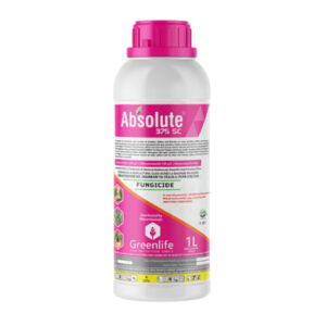 Artboard-1 Absolute 375 SC