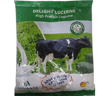 Delight Lucerne Advanta 250g