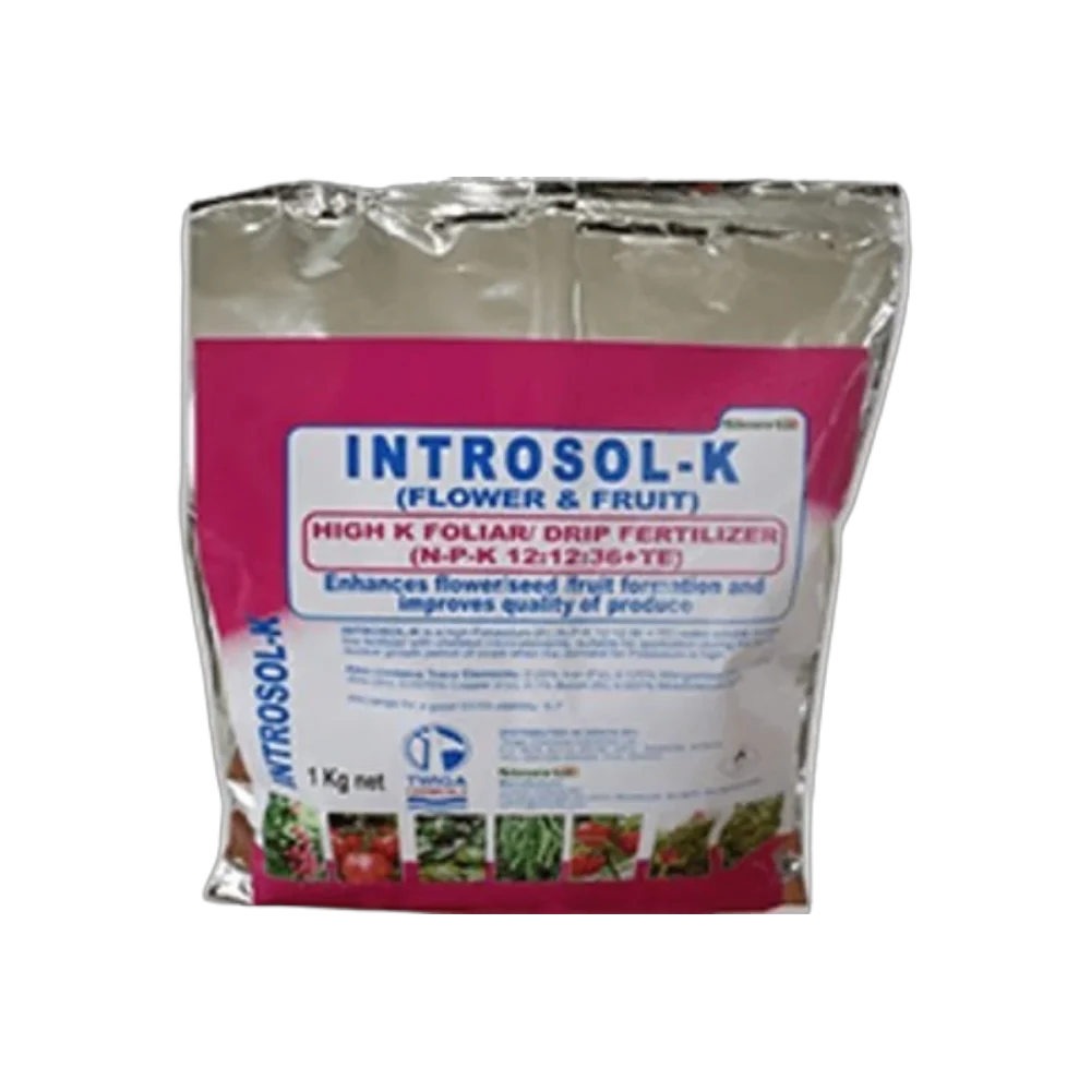 Introsol K 25kg