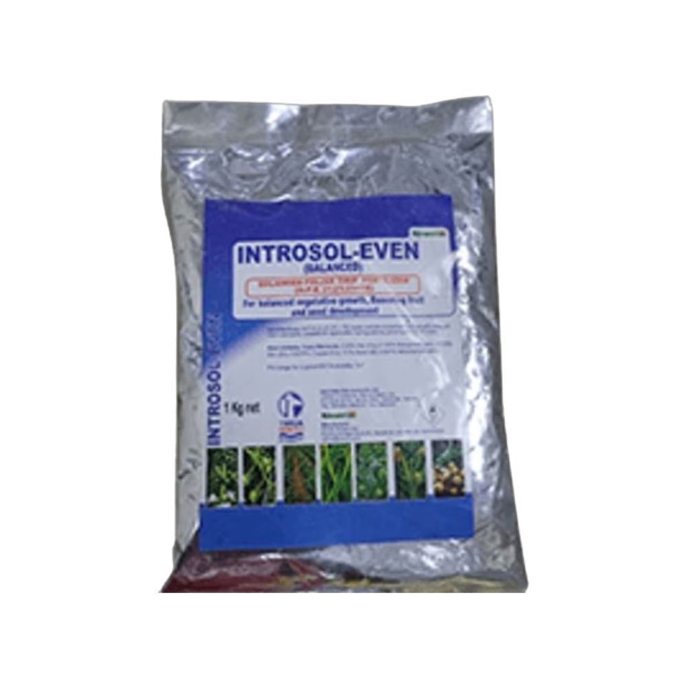 Introsol Even 1kg