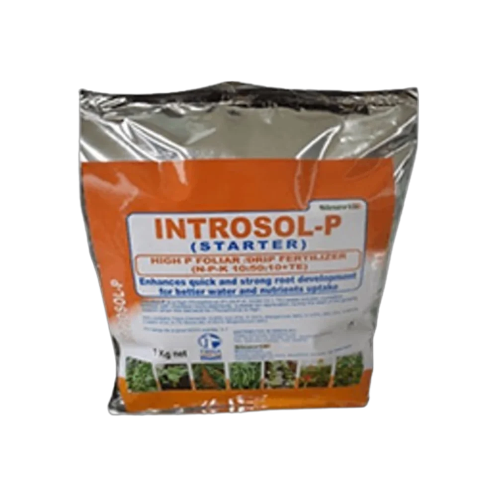 Introsol P 25kg