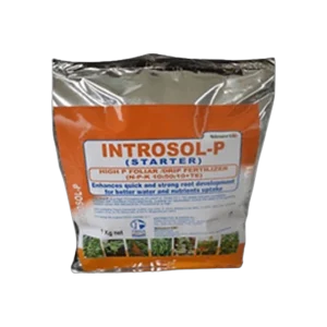 Introsol P 25kg