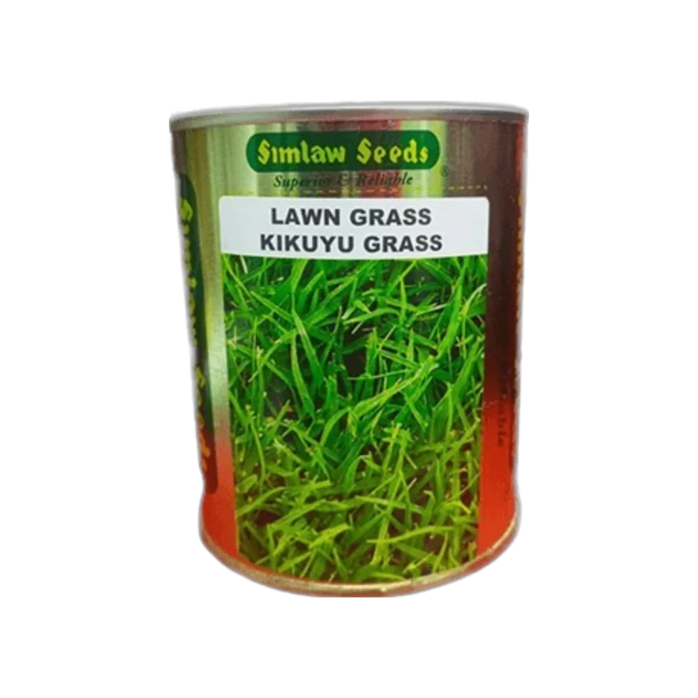 Kikuyu Grass 50g