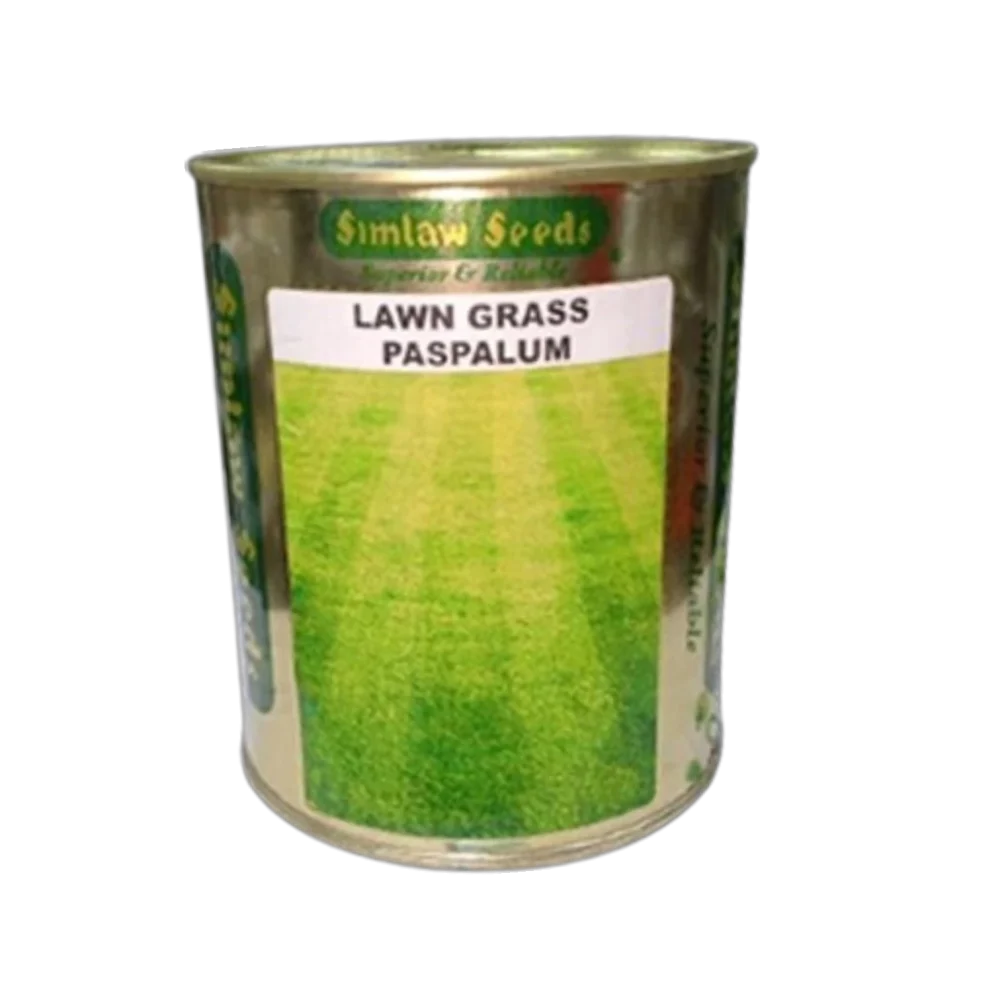 Lawn grass paspalum 250g