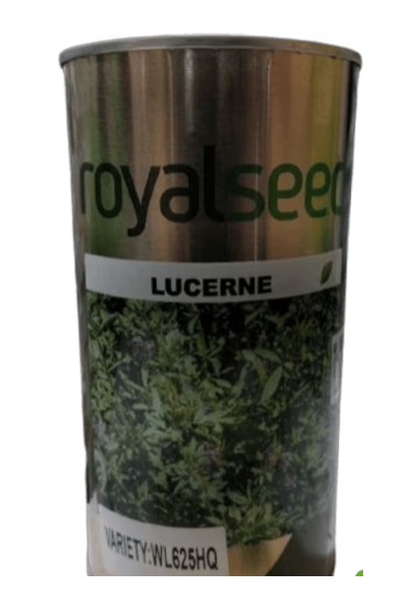 Lucerne Alfafa Royal 500g