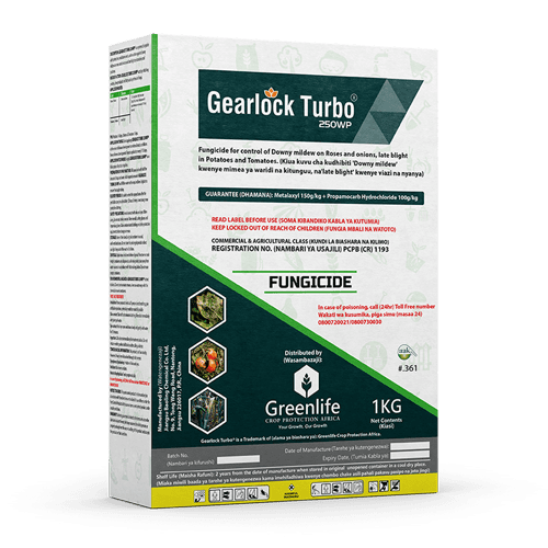 Gearlock Turbo® 250WP 1kg