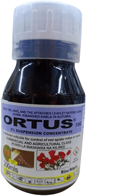Ortus 5CS 100ml
